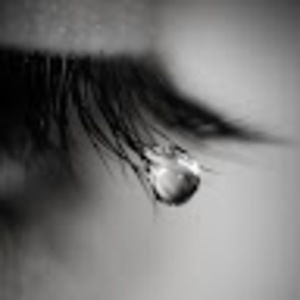 Meet your Posher, Wu